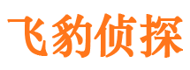 东风私家侦探公司